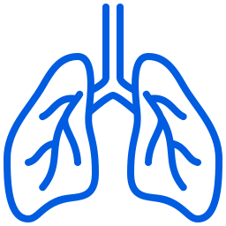 https://manualventilationacademy.org/wp-content/uploads/2024/10/lungs.png